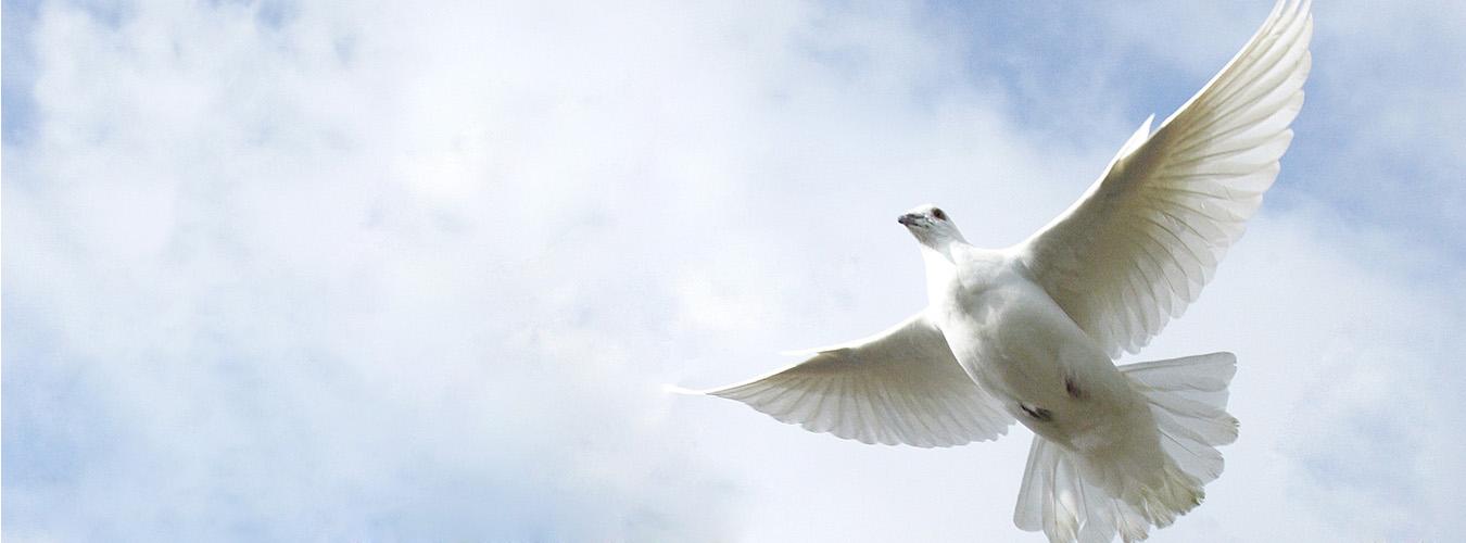 5月8日，缅怀第二次世界大战的所有死难者的悼念与和解的时刻
